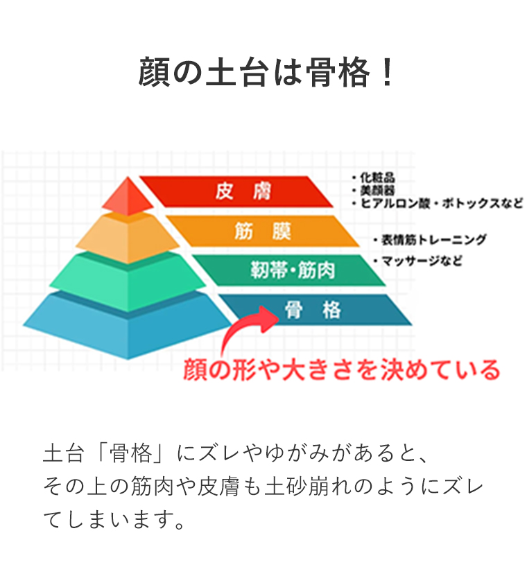 顔の土台は骨格！